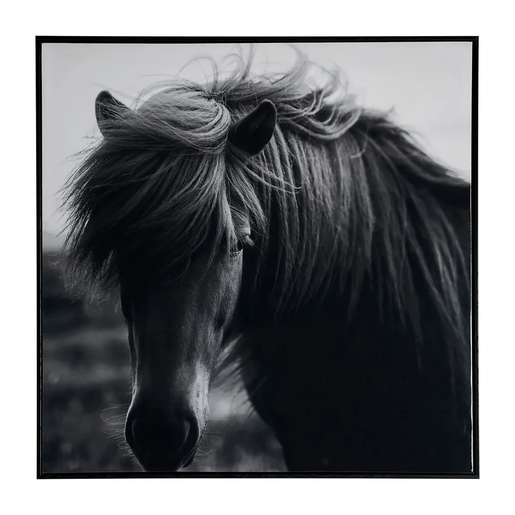 Pack de 2 Lienzo j/2 horse