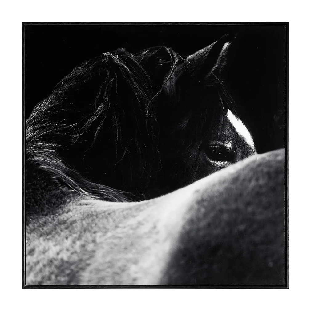 Pack de 2 Lienzo j/2 horse