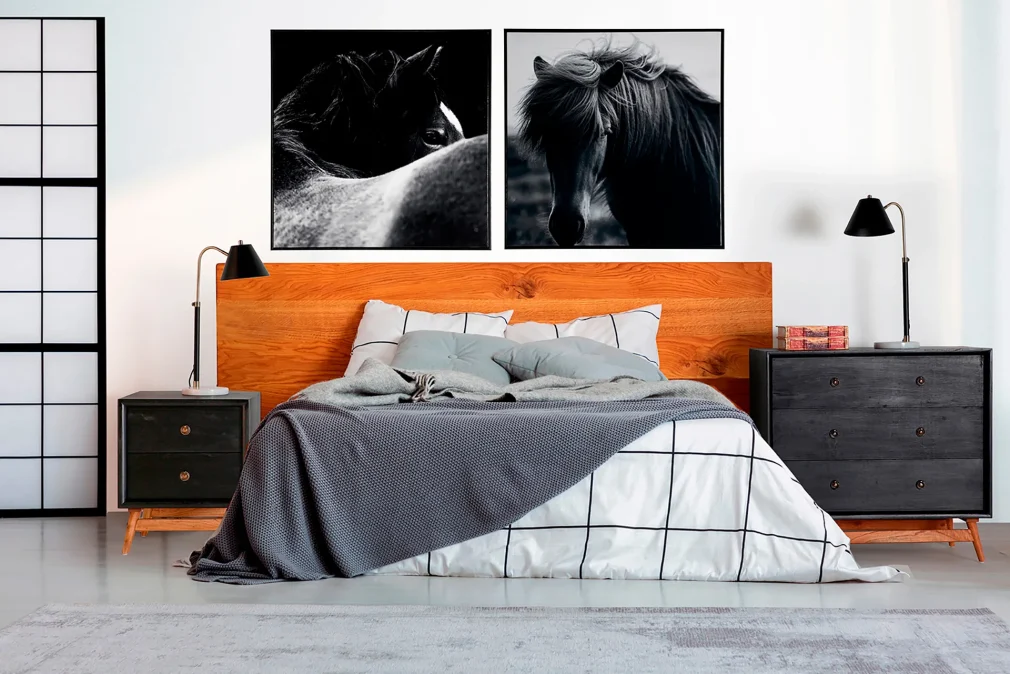 Pack de 2 Lienzo j/2 horse