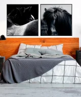 Pack de 2 Lienzo j/2 horse