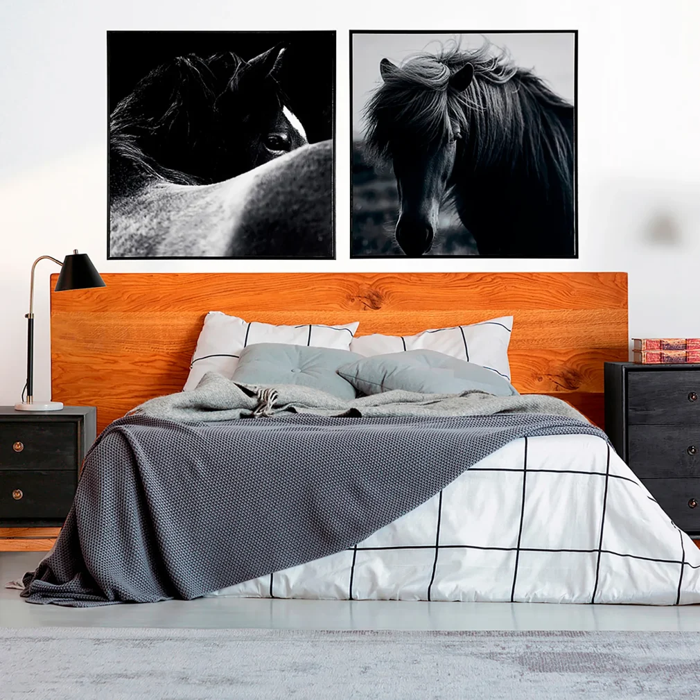 Pack de 2 Lienzo j/2 horse