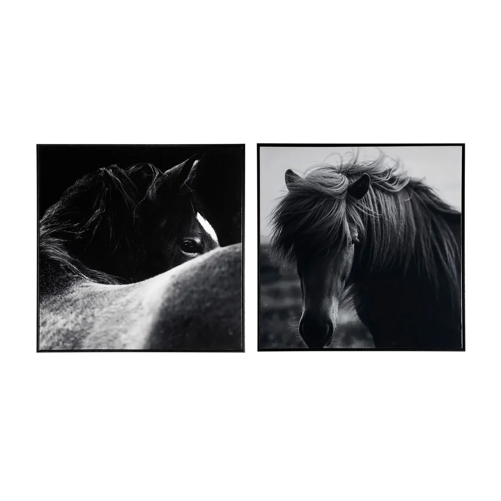 Pack de 2 Lienzo j/2 horse