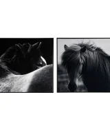 Pack de 2 Lienzo j/2 horse
